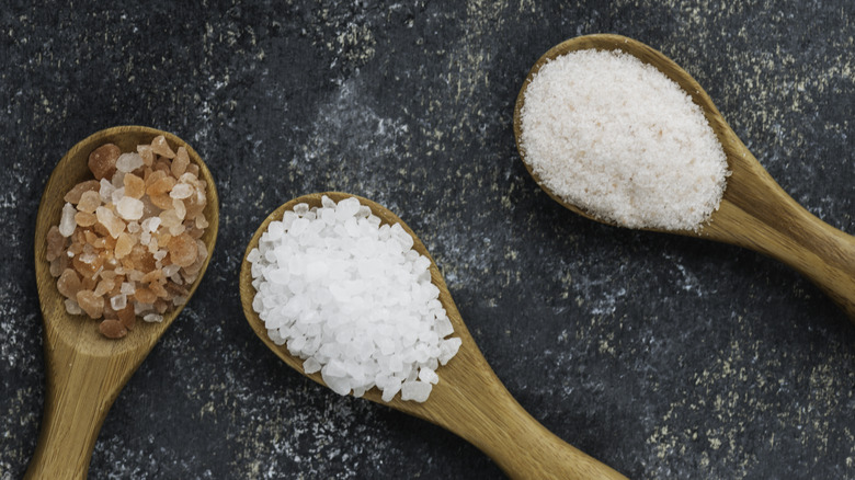 Various salt types on spoon