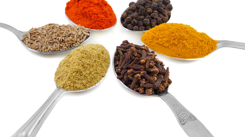 Variety of spices in spoons