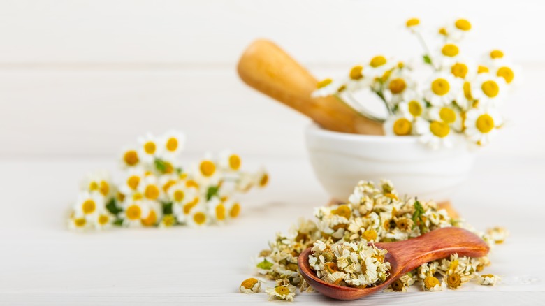 dried chamomile flowers in bowl and spoon