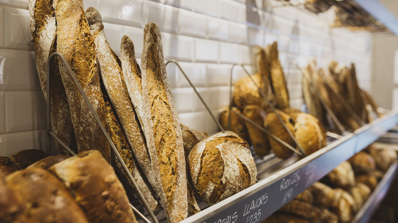 Different styles of fresh bread