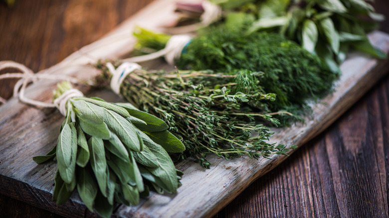 various fresh herbs on wooden board