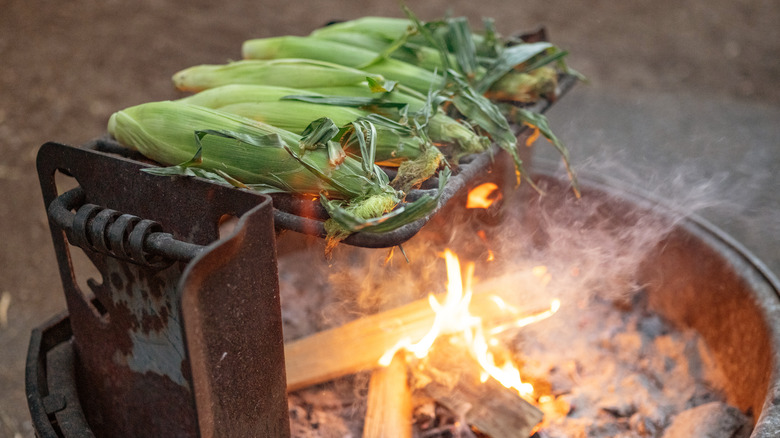 Corn grilled in husk 