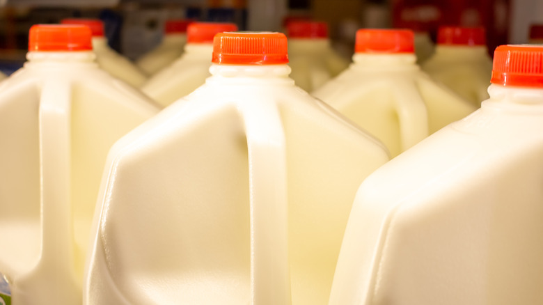 Milk jugs in cooler