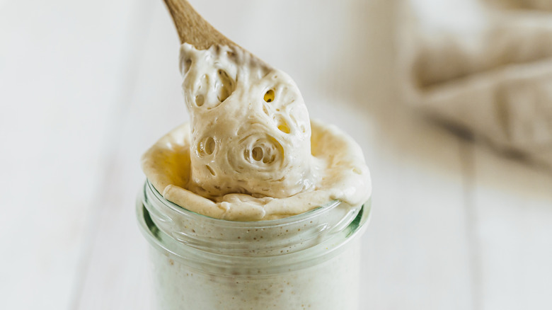 Sourdough starter in a jar