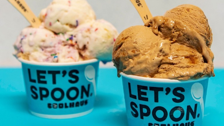 25 Best Ice Cream Brands Ranked