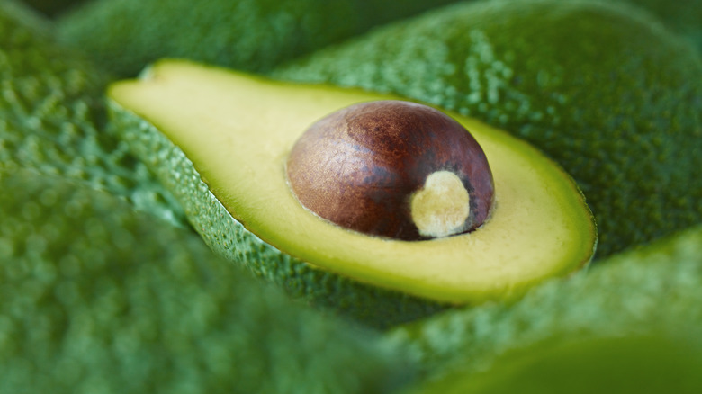 Avocado cut in half