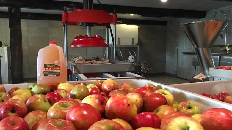 Cider with press machine