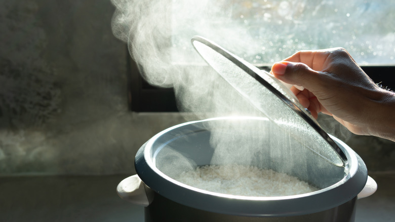 steam in a rice cooker