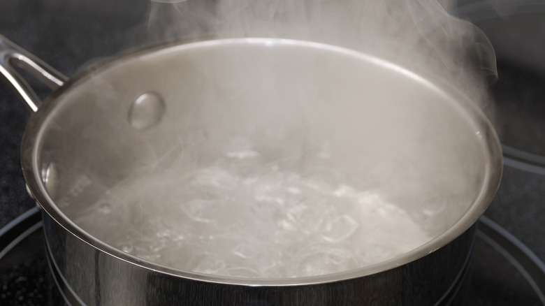 boiling water on stove