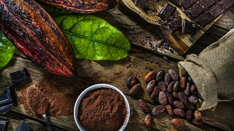 Cocoa beans and powder