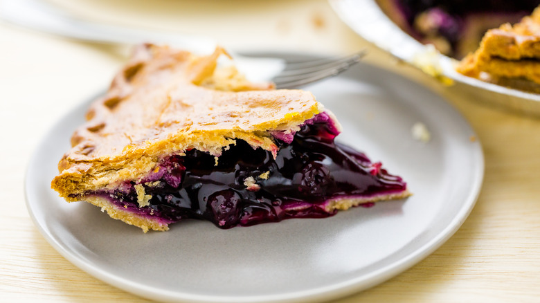 blueberry pie slice on plate