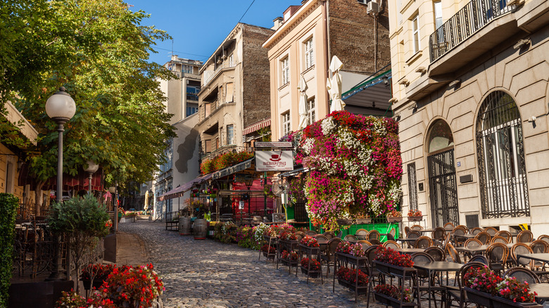 Quiet street in Belgrade