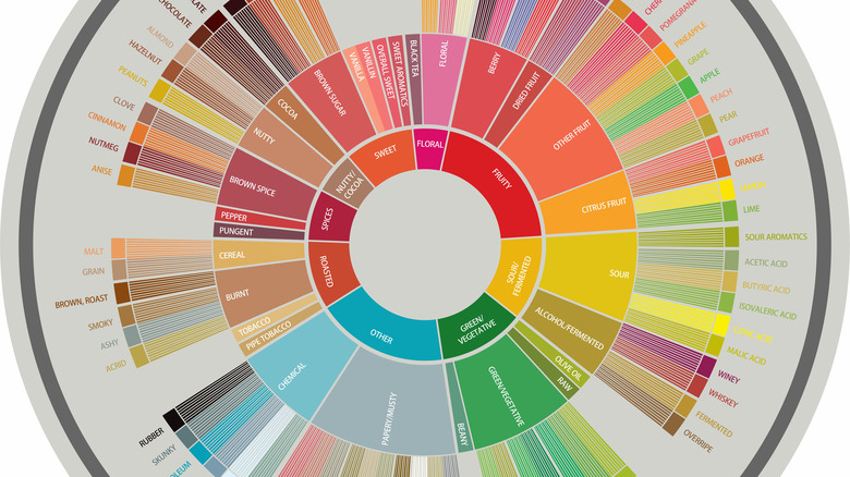 closeup of a flavor wheel