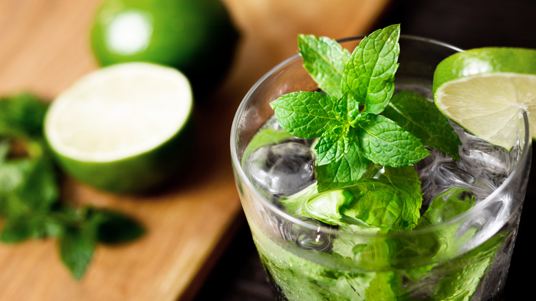 Mojito with mint leaves