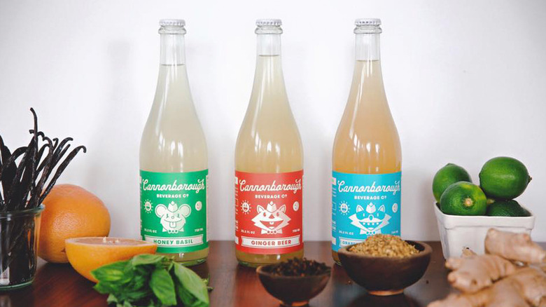 Three Cannonborough sodas