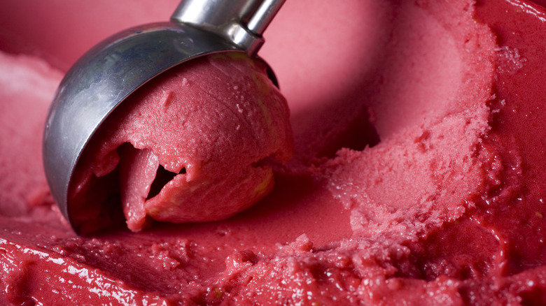 Scooping sorbet with scoop