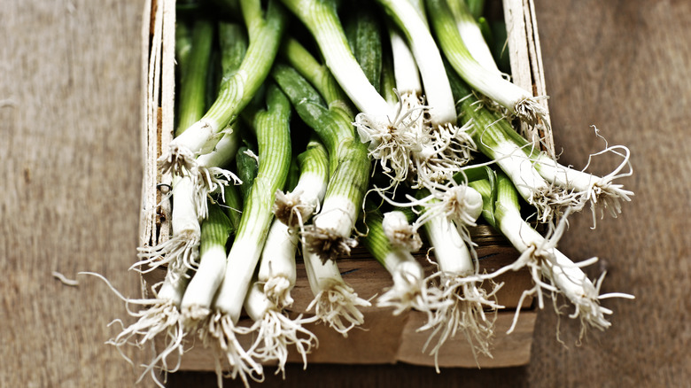 scallions in a basket