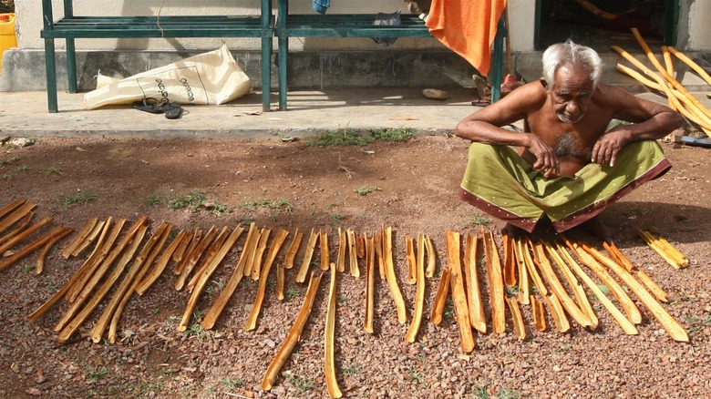 Sri Lankan farmer with cinnamon bark