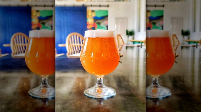 Triple Bottom Brewing beer