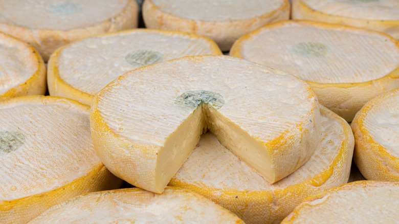 Wheels of Reblochon cheese piled