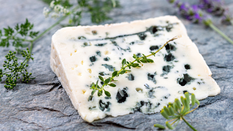 Wedge of roquefort cheese with greenery