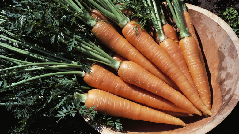 fresh carrots with stems in a bowl