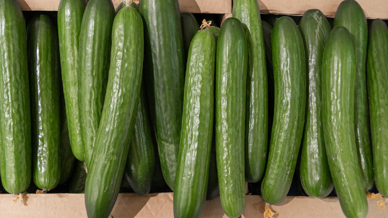 box full of green cucumbers