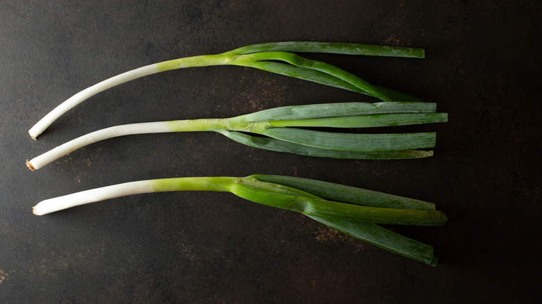 a top down view of three stalks of negi on black surface