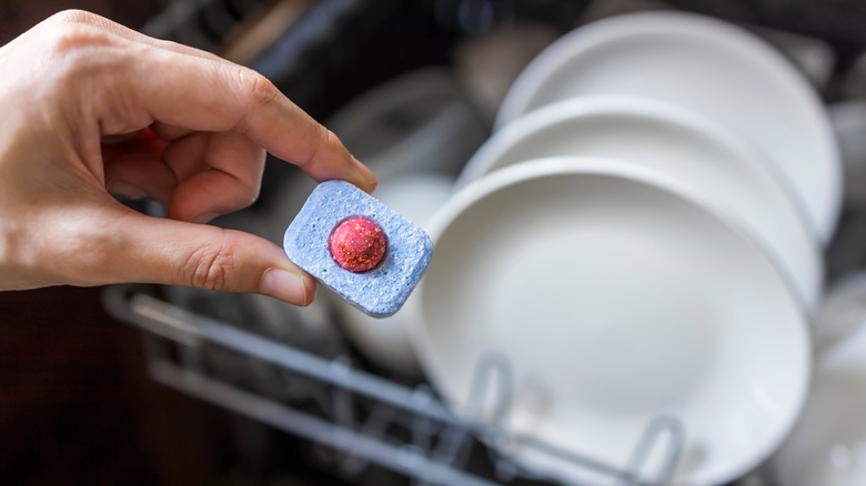 Person holding dishwasher tab