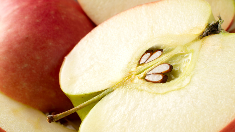 Sliced apple half with seeds and stem