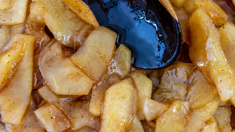 Apples with cinnamon and sugar with spoon