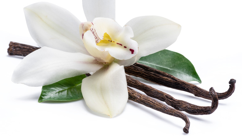 Vanilla beans with flower