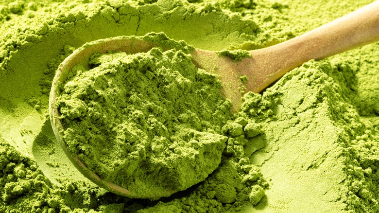 close up of matcha green tea powder with spoon