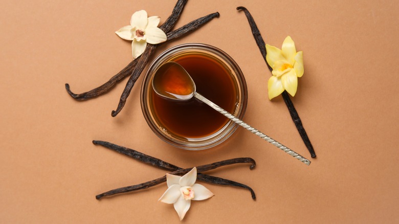 vanilla extract in bowl with spoon surrounded by vanilla pods