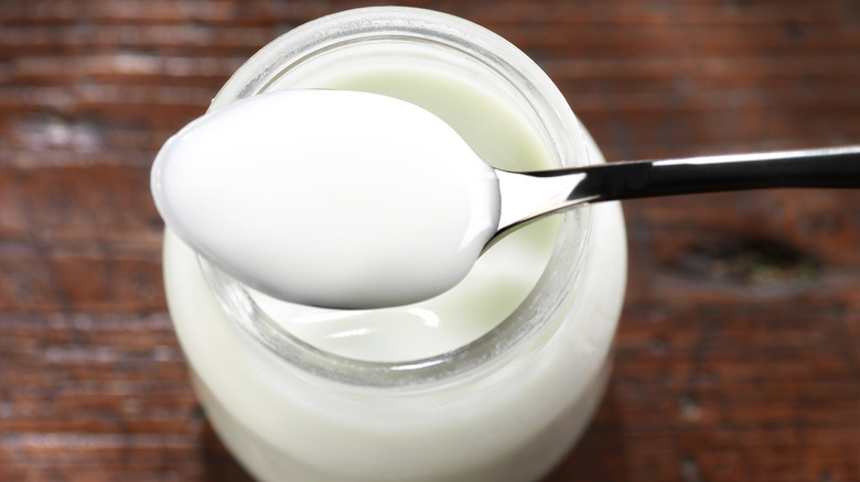 A spoonful of yogurt from a jar of yogurt