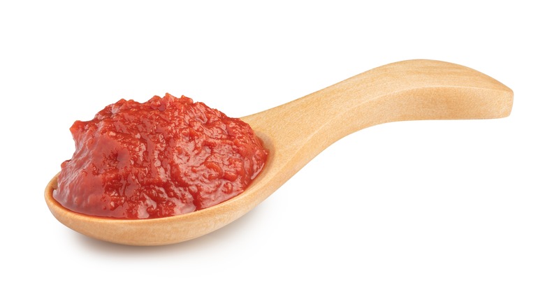 Tomato paste in spoon