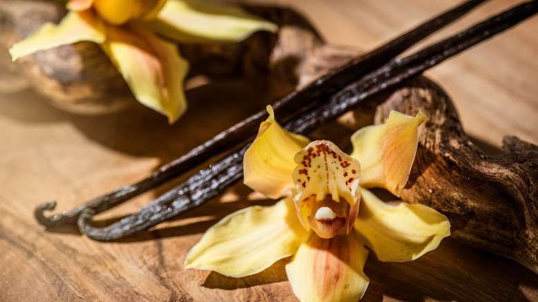 Vanilla flowers and pods