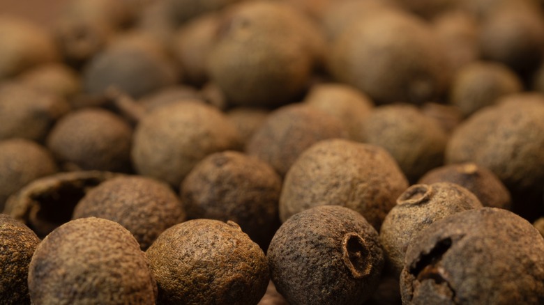 Allspice berries macro angle