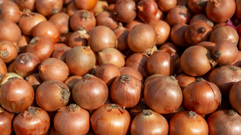 Pile of yellow onions