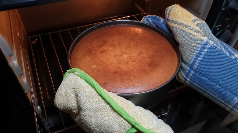 Taking cheesecake out of oven