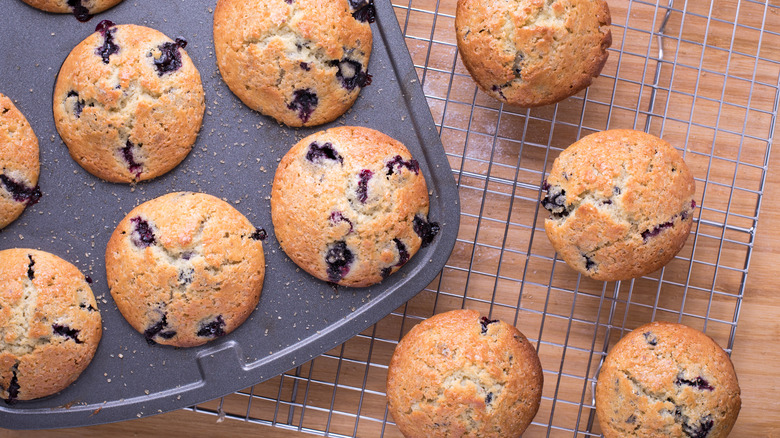 Muffins in tin and rack