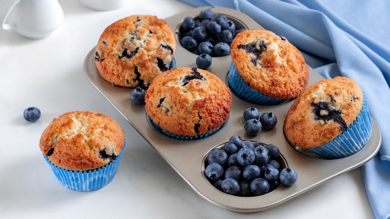 Baked blueberry muffins in tin