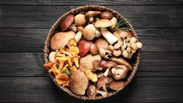 Wild mushrooms in a basket