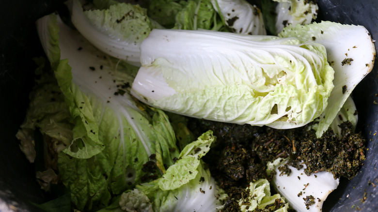 Lettuce leaves covered with dirt