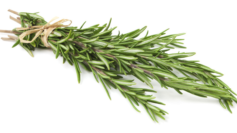 Springs of rosemary tied up 