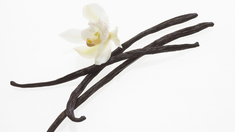 Vanilla beans and flower