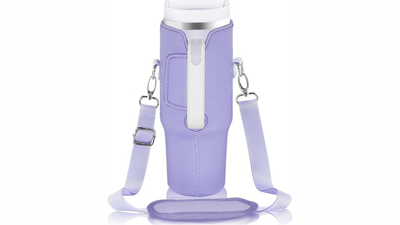 Insulated bottle with carrying strap