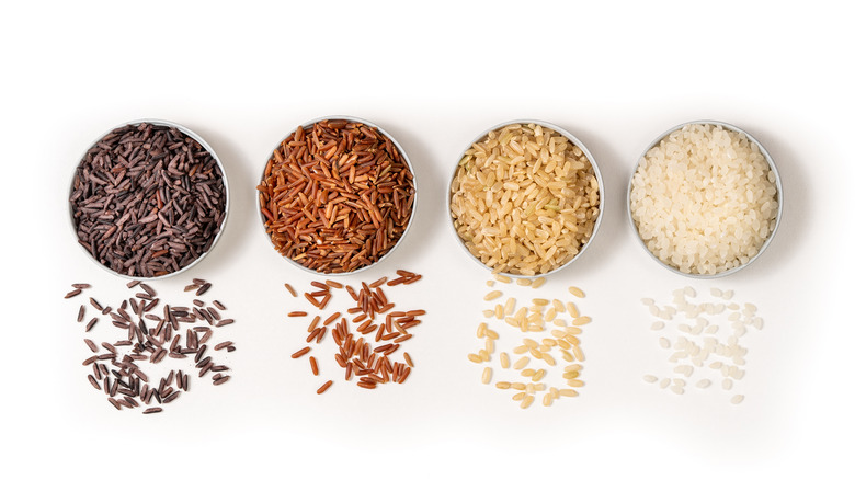 Rice types on white background