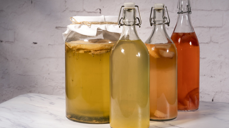 fermenting tea for kombucha