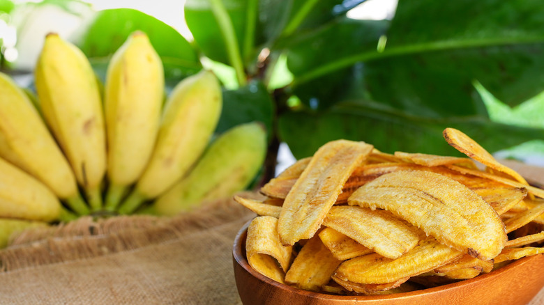 fried green bananas cuadrados